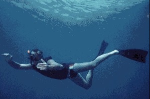 Isola di Bergeggi, 1986